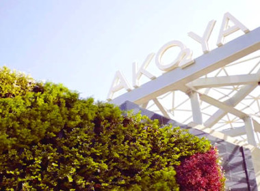 akoya